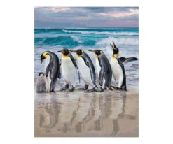 Schipper Malen Nach Zahlen Kaiserpinguine