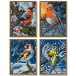 Schipper Malen Nach Zahlen Wintervögel (Quattro)